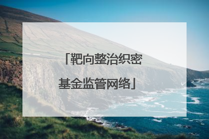 靶向整治织密基金监管网络